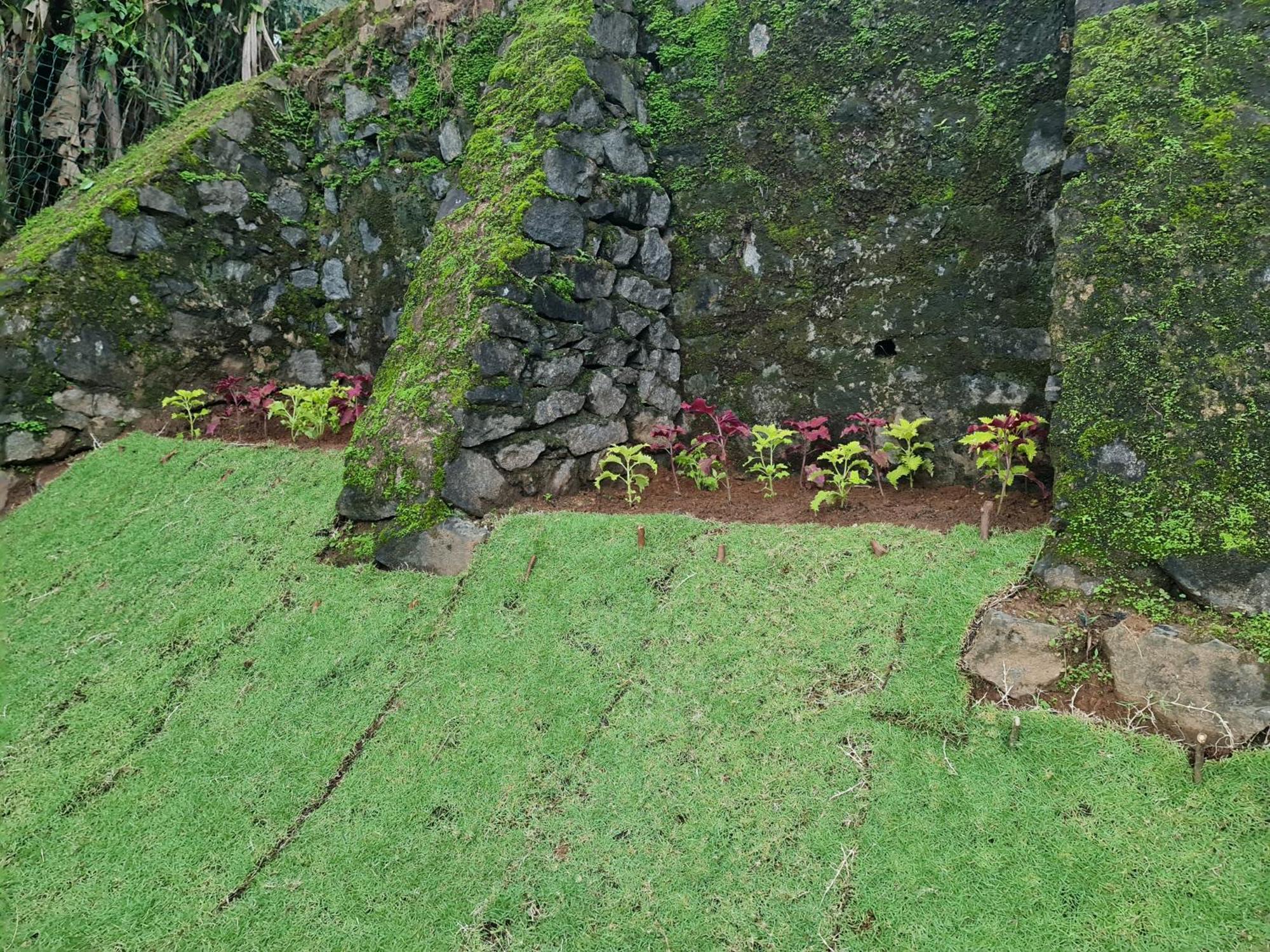 Hello Kandy Homestay Εξωτερικό φωτογραφία
