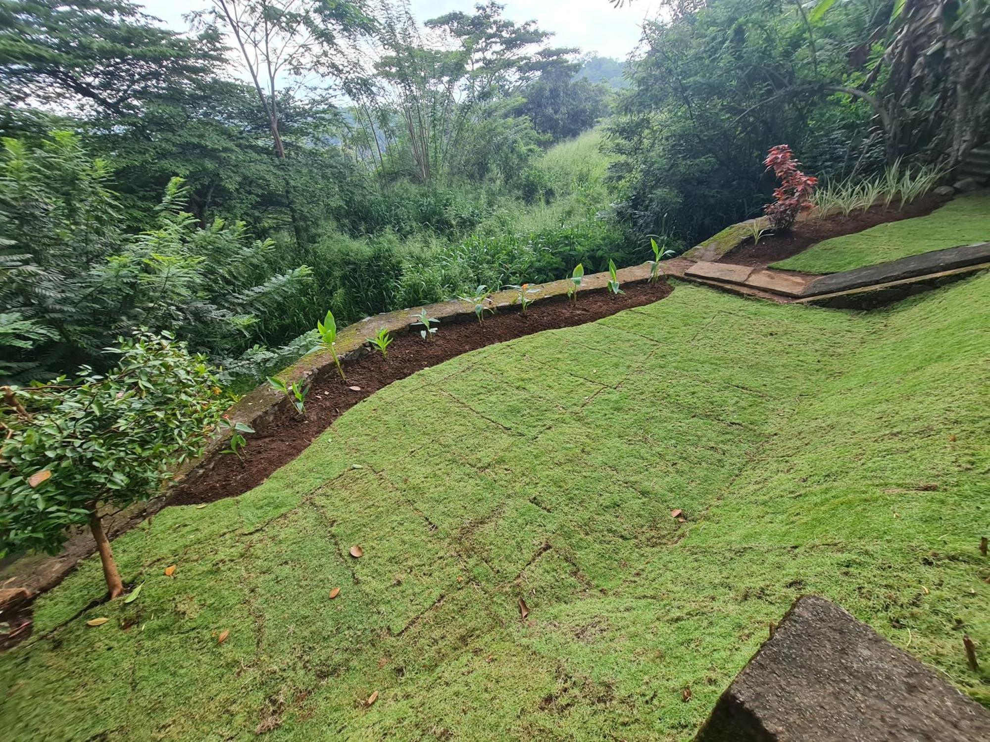 Hello Kandy Homestay Εξωτερικό φωτογραφία