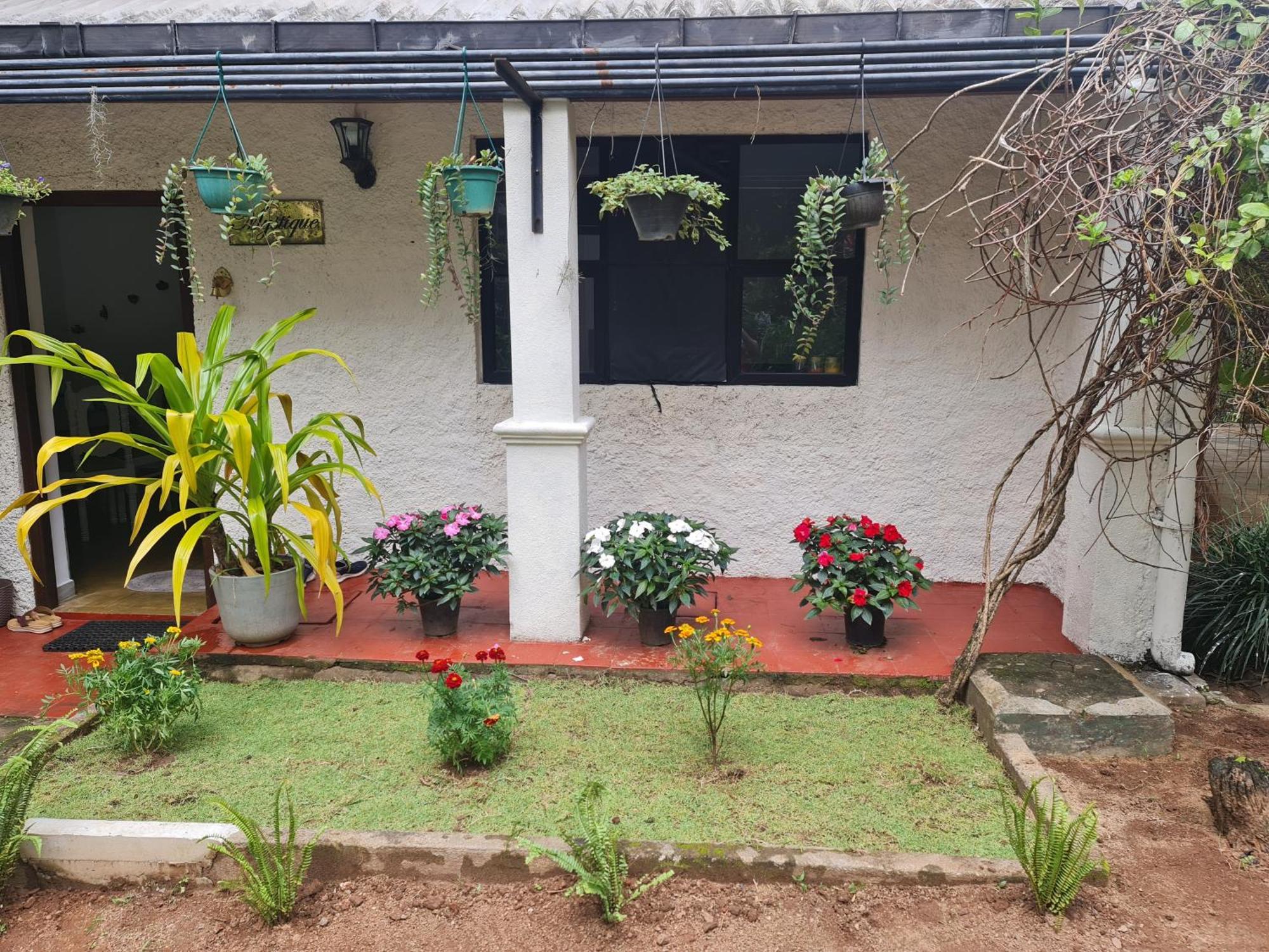 Hello Kandy Homestay Εξωτερικό φωτογραφία